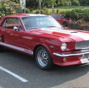 Meet your Posher, Steve